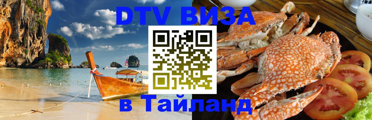 Оформление DTV визы под ключ: стоимость и тарифы, только загранпаспорт - Волжский 